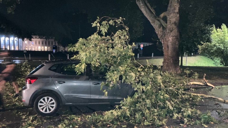 Sturm hinterlässt Spuren in Koblenz 