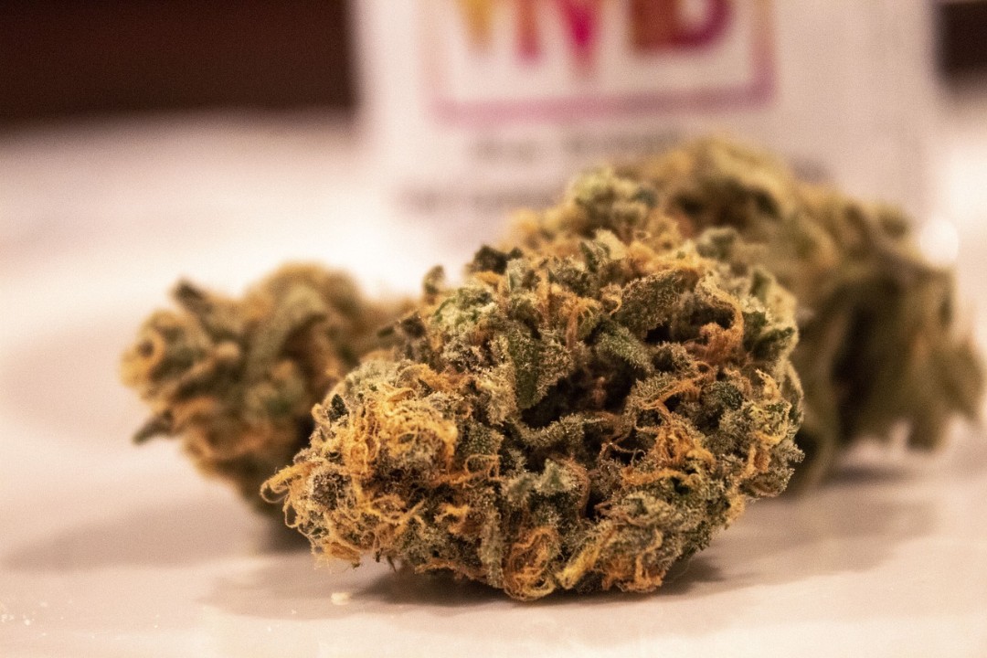 Sechster Cannabis-Club in Rheinland-Pfalz erhält Genehmigung Sechster Cannabis-Club in Rheinland-Pfalz erhält Genehmigung