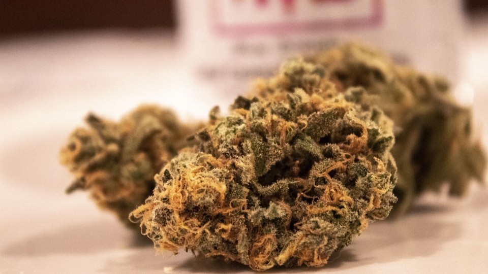 Sechster Cannabis-Club in Rheinland-Pfalz erhält Genehmigung