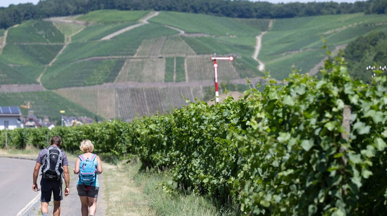 Reisemagazin sieht Ahrtal unter den 25 besten Zielen Reisemagazin sieht Ahrtal unter den 25 besten Zielen