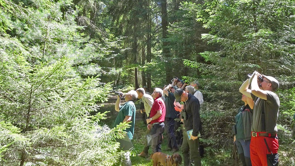 «Der Wald leidet weiter»