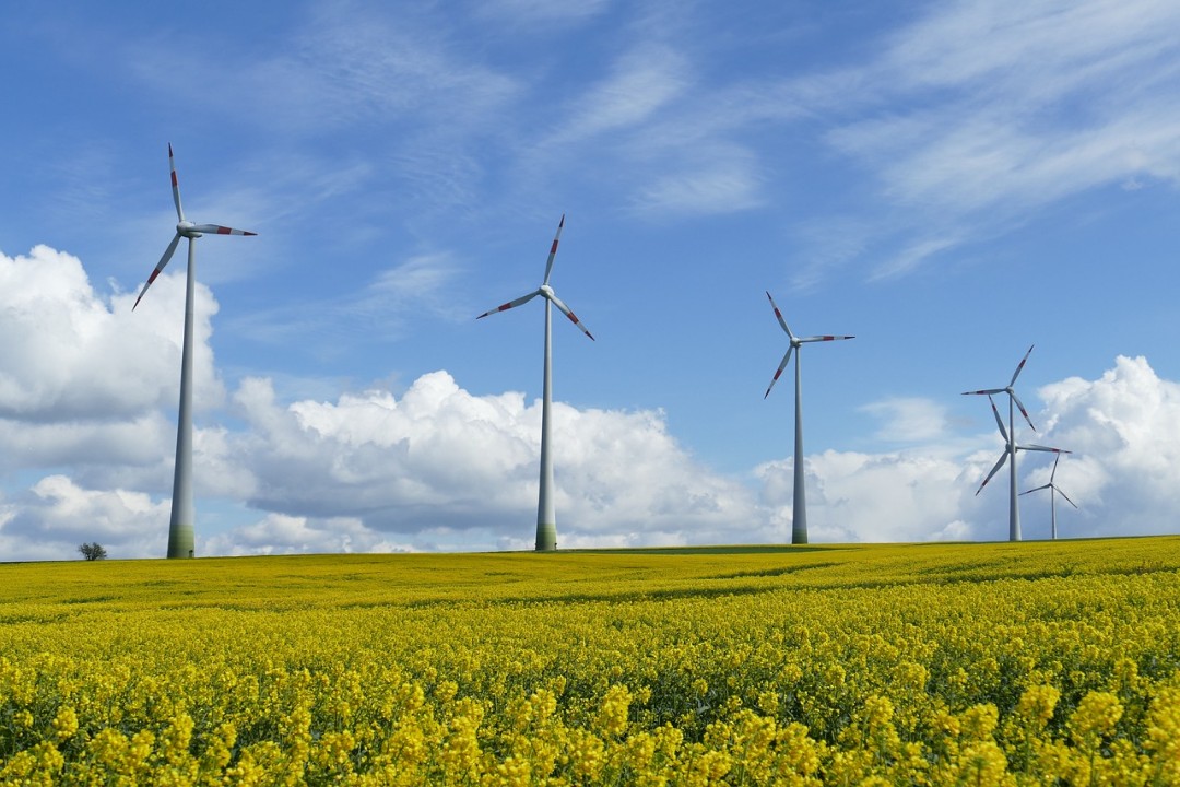 Windkraftausbau in Rheinland-Pfalz wächst