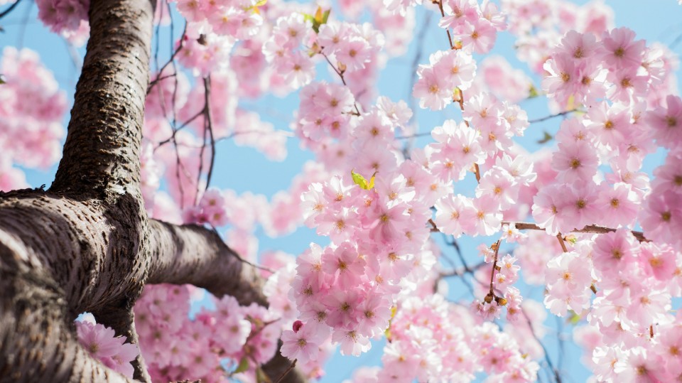 So gelingt der Start in den Frühling