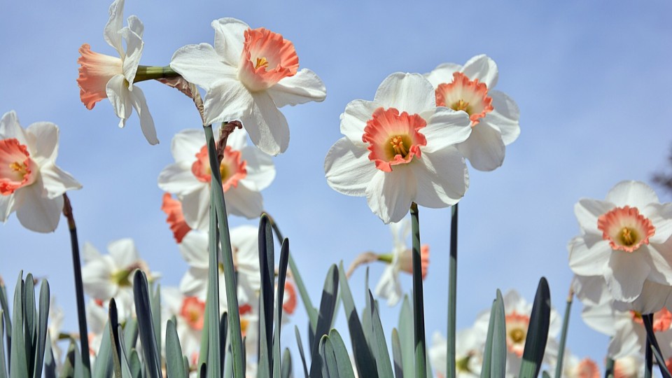 Frühlingswetter in Rheinland-Pfalz