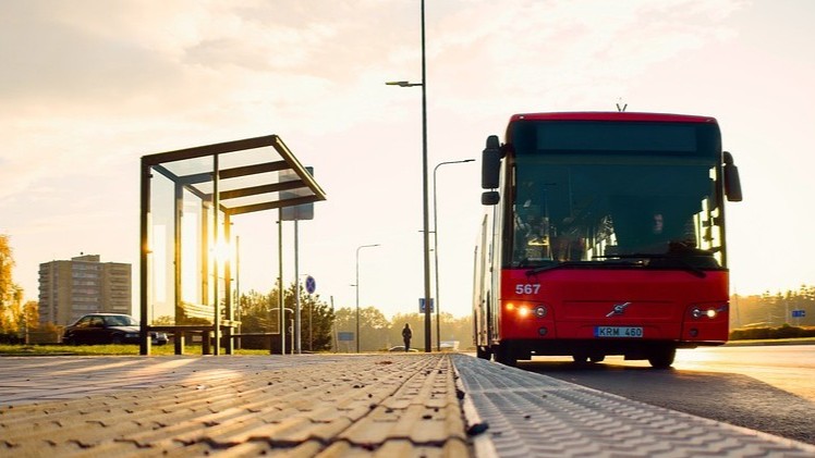 Umleitung der koveb-Linie 29 wegen Krötenwanderung