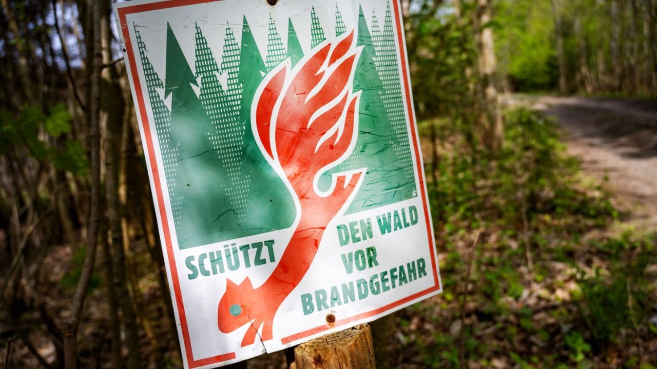 Ministerium warnt vor zunehmender Waldbrandgefahr Ministerium warnt vor zunehmender Waldbrandgefahr