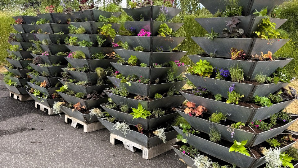 Mehr Grün für die Stadt: Sommerbepflanzung mit Herz, Duft und Summen