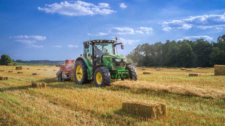 Frühjahrstrockenheit setzt Landwirtschaft in Rheinland-Pfalz unter Druck