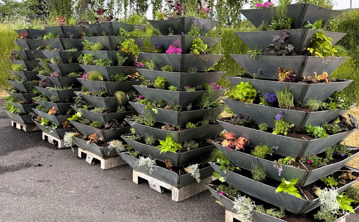 Mehr Grün für die Stadt: Sommerbepflanzung mit Herz, Duft und Summen Mehr Grün für die Stadt: Sommerbepflanzung mit Herz, Duft und Summen