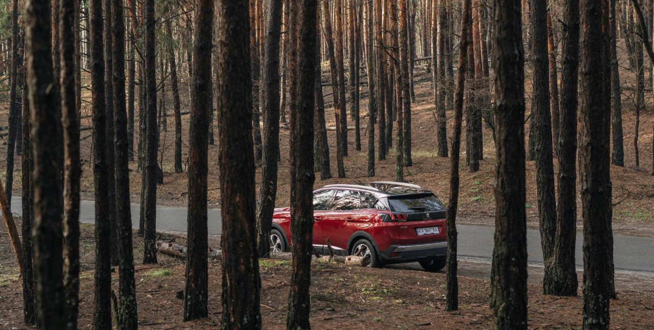 Baum kracht auf fahrendes Auto