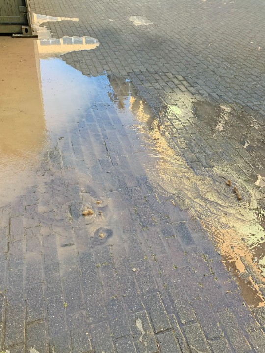 Fernunterricht am Megina-Gymnasium Mayen  aufgrund eines Wasserrohrbruchs