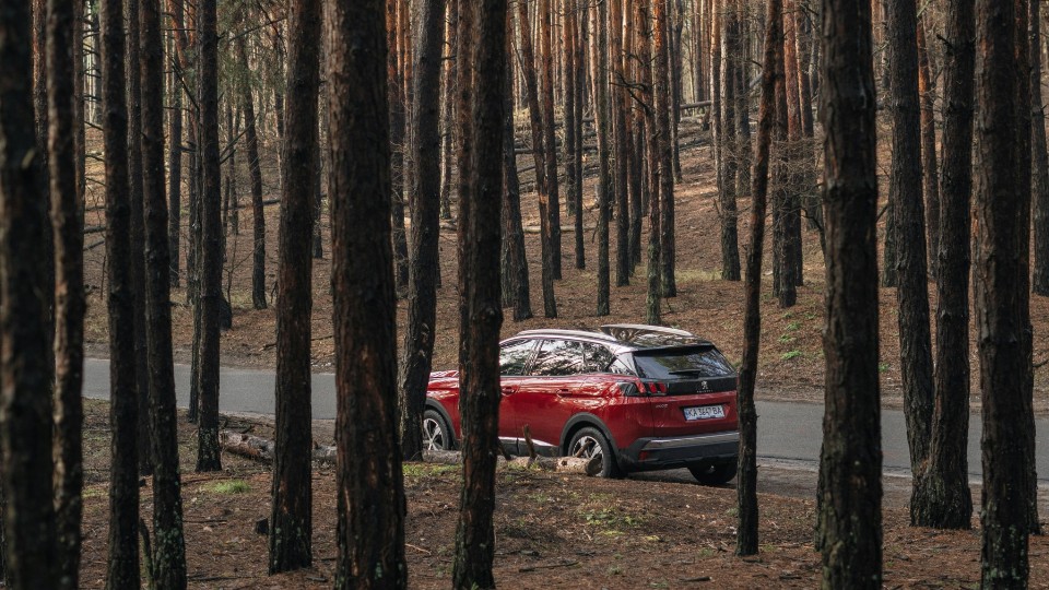 Baum kracht auf fahrendes Auto