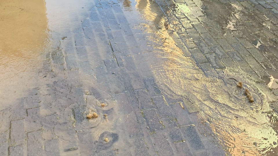 Fernunterricht am Megina-Gymnasium Mayen  aufgrund eines Wasserrohrbruchs