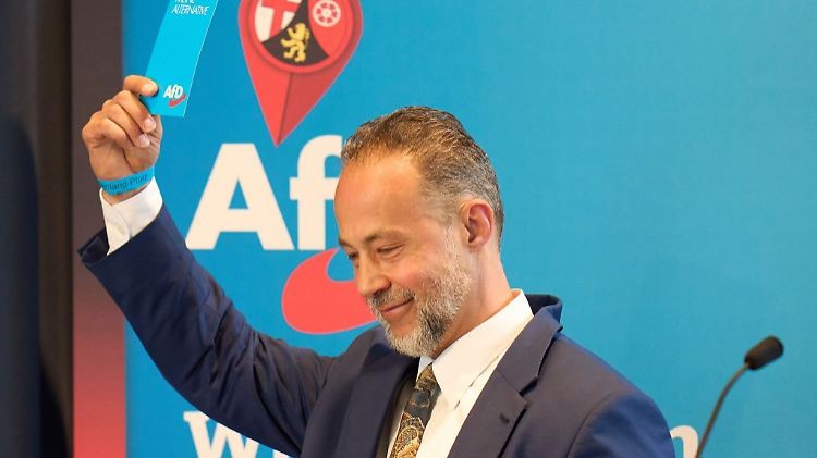 AfD-Chef: Wollen regieren und Ministerpräsidenten stellen
