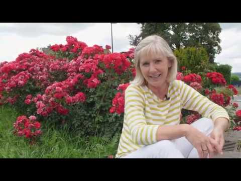 HeimART - die Kunst gut zu leben vom 4.7.2020