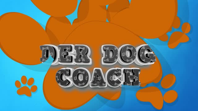 Unser Dog Coach mit den besten Tipps für Welpen und Junghunde