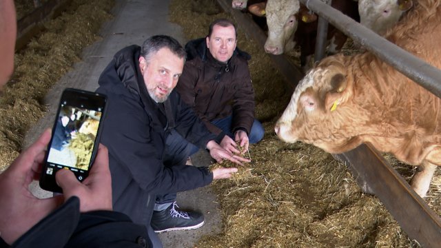 Christian Große, CDU, besucht landwirtschaftlichen Mehrfamilienbetrieb agro Saarmund GmBH
