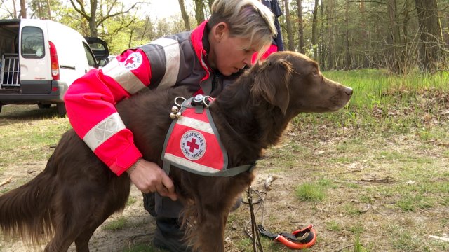 Rettungshundestaffel des roten Kreuzes Brandenburg an der Havel (kurze Version)