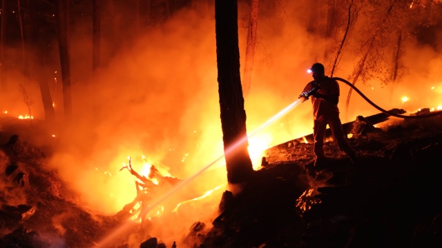 "Waldbrandsituation war 2022 so gefährlich wie nie zuvor"
